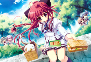 Girl long hair hat sandwich - her hand and a cat free wallpaper