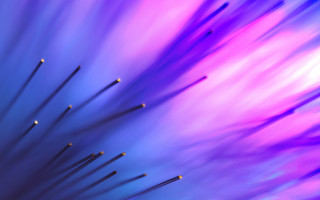 Sticks closeup blurry background purple - a close up of a bunch free wallpaper