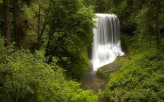 Waterfall forest stream path trees - a stream free wallpaper