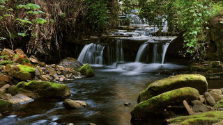 Small waterfall forest mossy rocks 4 - a small waterfall in a forest free wallpaper