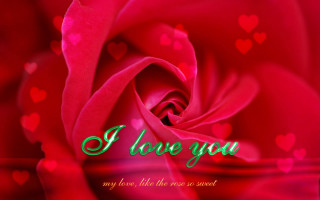 Red rose hearts i love - the side of free wallpaper