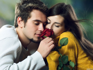 Man woman kissing holding rose 2 - romantic free wallpaper