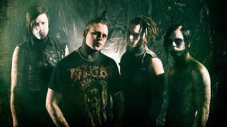 Men forest plants heads dreadlocks - their head free wallpaper