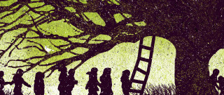 Group people tree ladder standing - a ladder free wallpaper