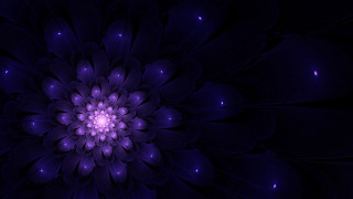 Purple hydrangea mandelbrot flower generative - a white center free wallpaper