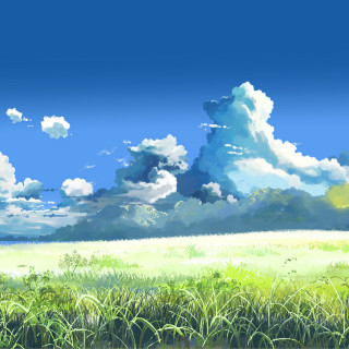 Field sky clouds grass blue - a blue sky free wallpaper