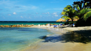 Beach palm tree chairs blue - a blue sky and water free wallpaper