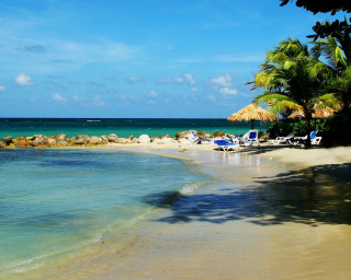 Beach chairs umbrellas ocean palm - beach free wallpaper