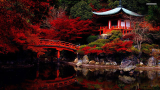Red bridge autumn leaves japanese - near free wallpaper