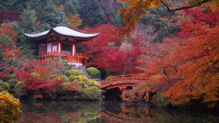 Small bridge red leaves pagoda - a park free wallpaper