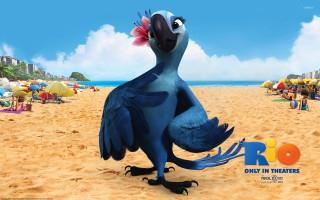 Cartoon character beach bird head - free bikini wallpaper