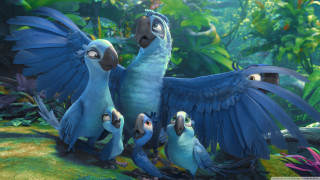 Blue birds forest light rays - chris labrooy free wallpaper