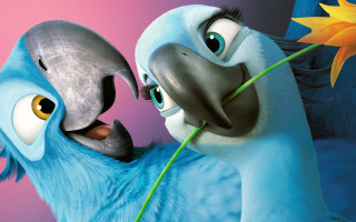 Birds flowers couple together mouths - a couple of birds free wallpaper