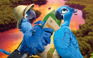 Blue birds hats guns heads - their head free wallpaper