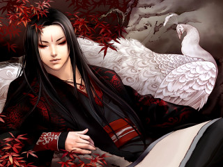 Woman swan bed tree red - a swan free wallpaper