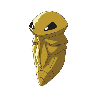 Bug yellow rayonism bug eye - a black nose free wallpaper