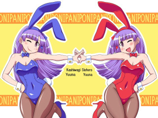 Anime girls purple hair bunny - a manga drawing free wallpaper for desktop