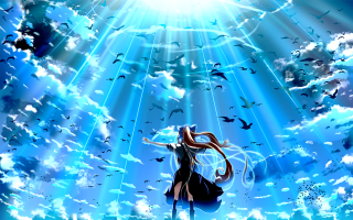Woman blue sky birds flying - the middle free wallpaper