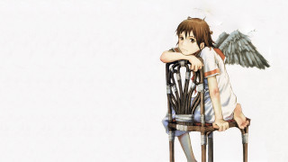Boy chair bird shoulder wing - a boy free wallpaper
