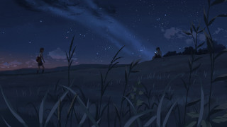 Night sky couple lush field - night sky free wallpaper