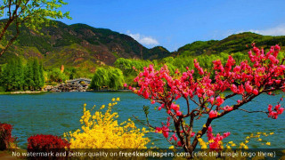 Lake tree flowers mountain autumn - impressionist free wallpaper