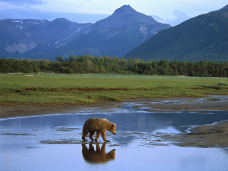 Bear river mountains grass reflection - a reflection free wallpaper