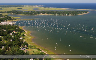 Water boats shoreline houses trees - a large body of water free wallpaper