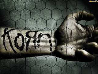 Hand tattoo chicken wire fence - adolf born free wallpaper