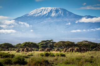 Elephants mountain trees blue sky - a herd of elephants free wallpaper
