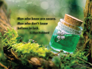 Green jar quote tree branch - a tree branch free wallpaper