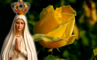 Statue woman crown rose background - radiant free wallpaper