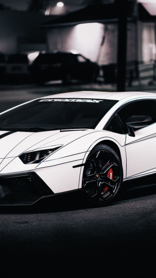White lamb car parking lot - night time free wallpaper