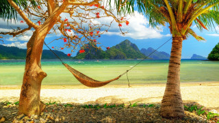 Hammock palm trees beach ocean - arthur pan free wallpaper