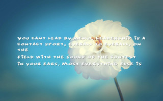 White flower quote lead contact - everyone free wallpaper