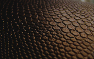 Brown object circles closeup building - texture free wallpaper