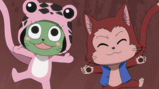 Cat different colors sizes closed - cosplay free wallpaper