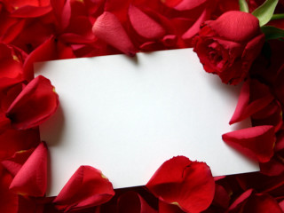 White sheet red flowers petals - rose free wallpaper