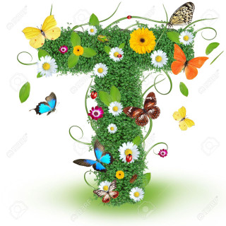 Grass flowers butterflies number one - ecological art free wallpaper