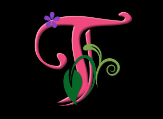 Pink letter t flower green - a green leaf free wallpaper