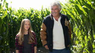 Man girl standing corn field - david budd free wallpaper
