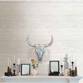 White mantle cow skull framed - david ramsay hay free wallpaper