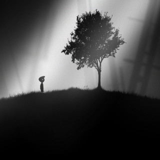 Person standing tree dark umbrella - eden box free wallpaper