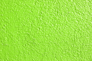 Green wall black white cat - cat free wallpaper