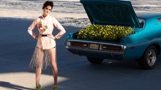 Woman car flowers trunk standing - a car free wallpaper