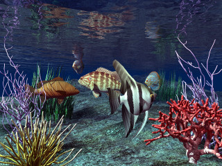 Fish swimming ocean corals seaweed - underwater free wallpaper