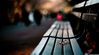 City street bench tilt shift - the background and a blurry background free wallpaper