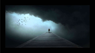 Person dock dark sky birds - bird free wallpaper