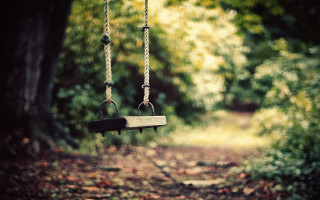 Swing forest trees leaves path 2 - shallow free wallpaper for desktop