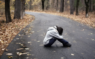 Person sitting road forest leaves - somber free wallpaper