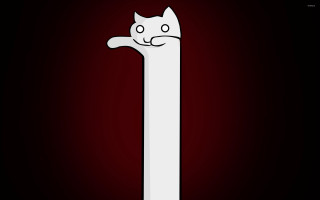 White cat tall pole black - a white cat free wallpaper